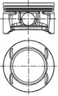WILMINK GROUP wg1094142 -  